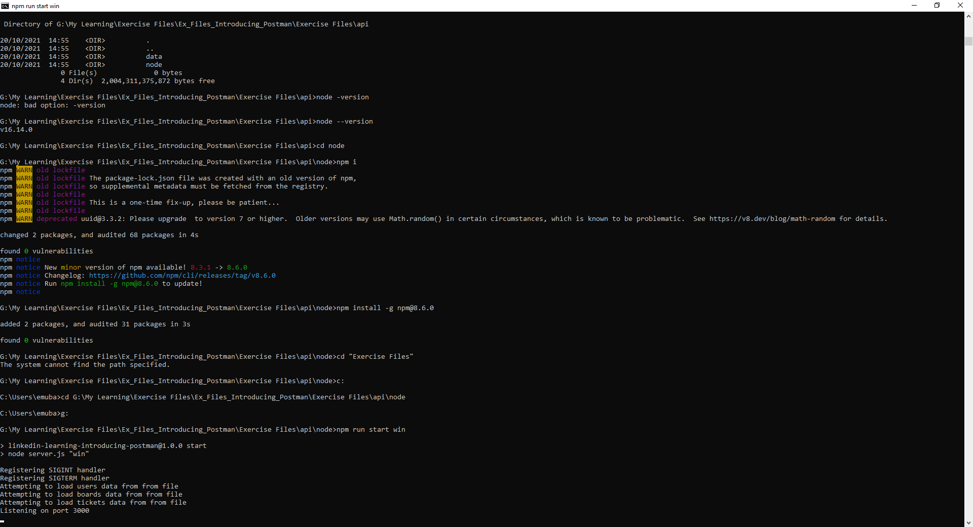 Figure 3 - The Command Prompt when running the API.