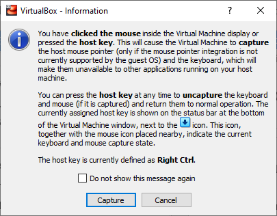 a dialog box relating to mouse capture by the VM